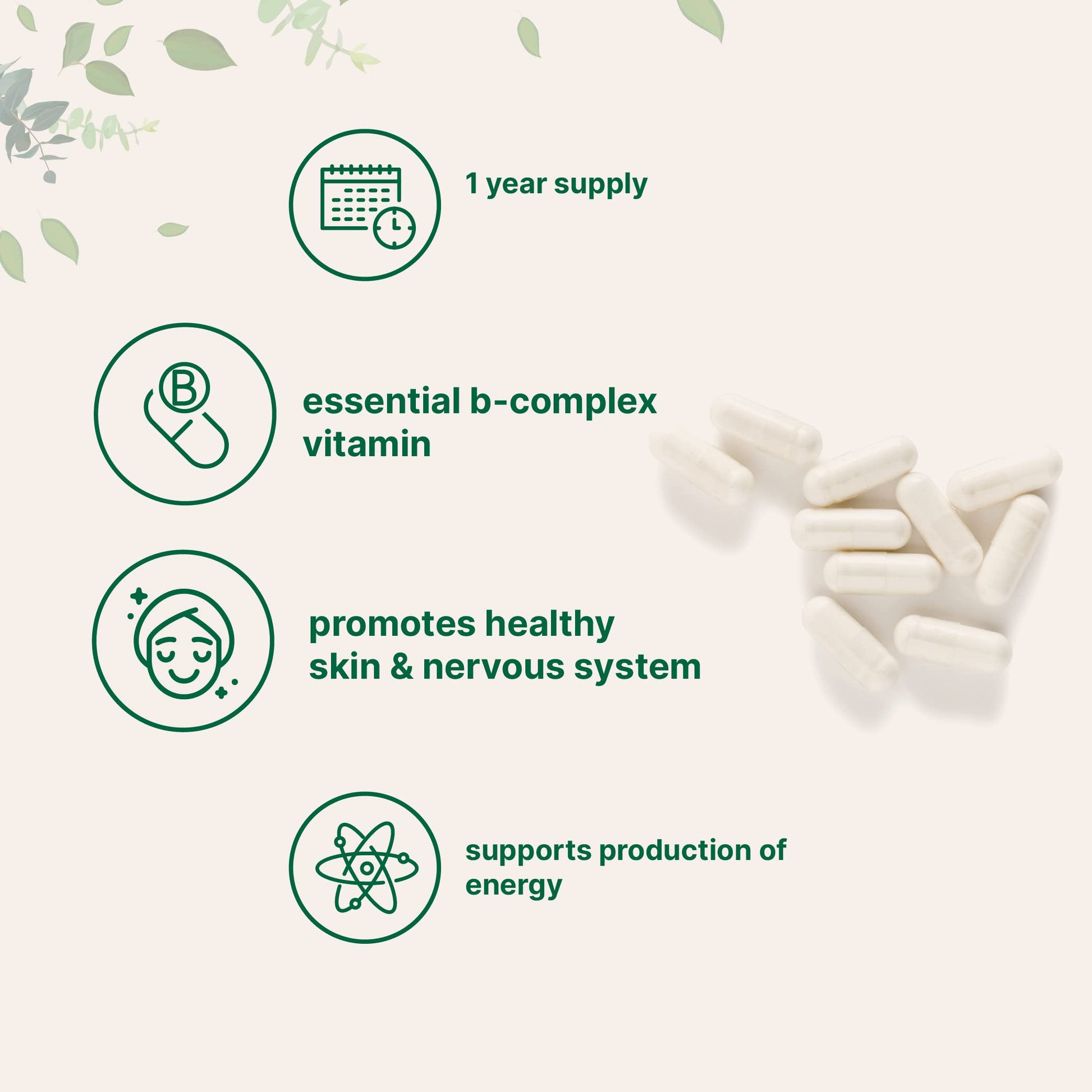 Micro Ingredients B5 supplement label details for energy support