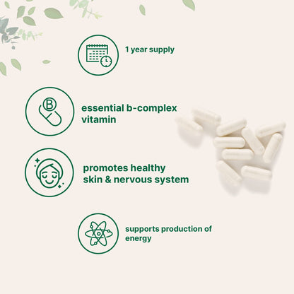 Micro Ingredients B5 supplement label details for energy support