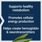 Authentic Life Extension B5 metabolism support supplement bottle