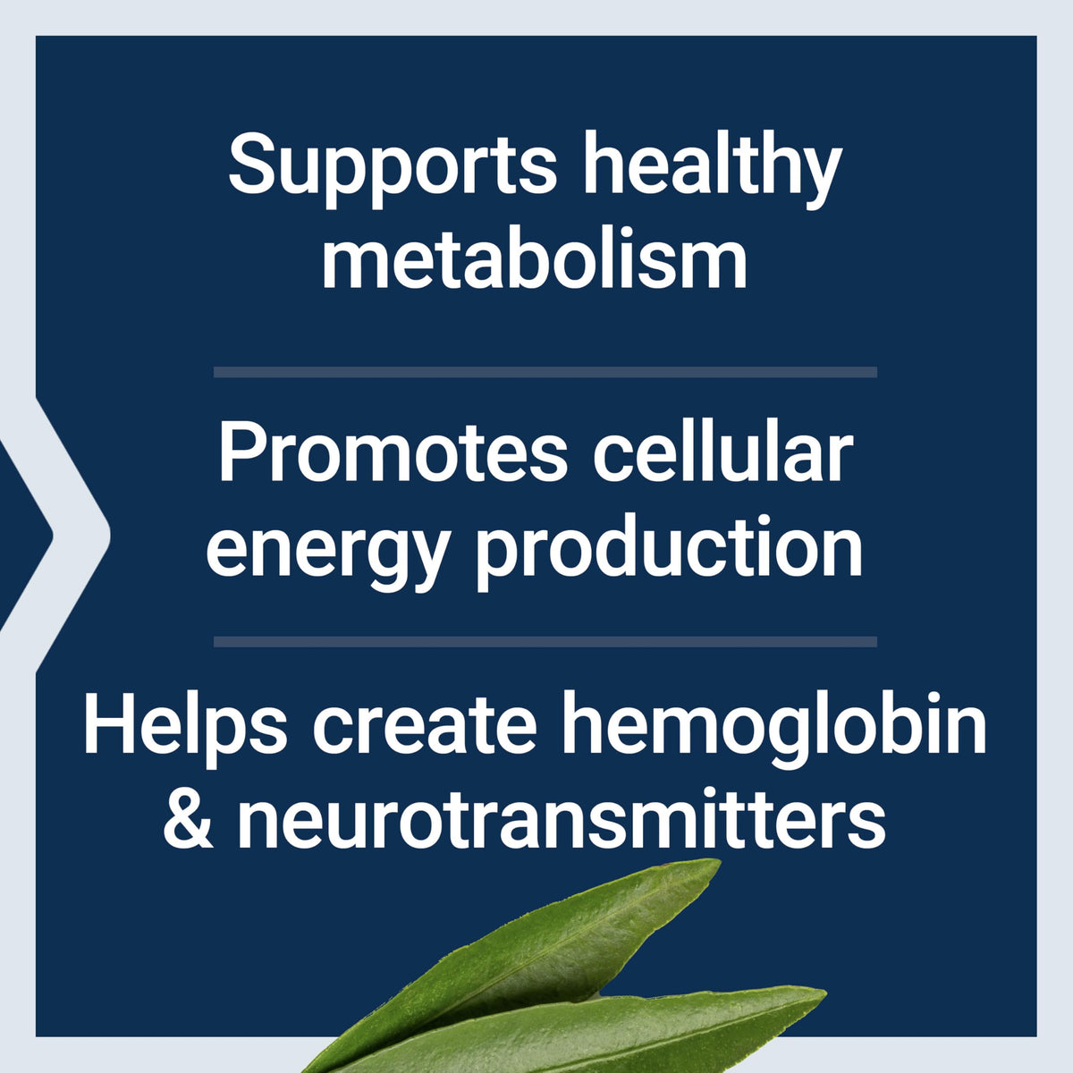 Authentic Life Extension B5 metabolism support supplement bottle