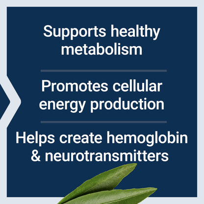 Authentic Life Extension B5 metabolism support supplement bottle