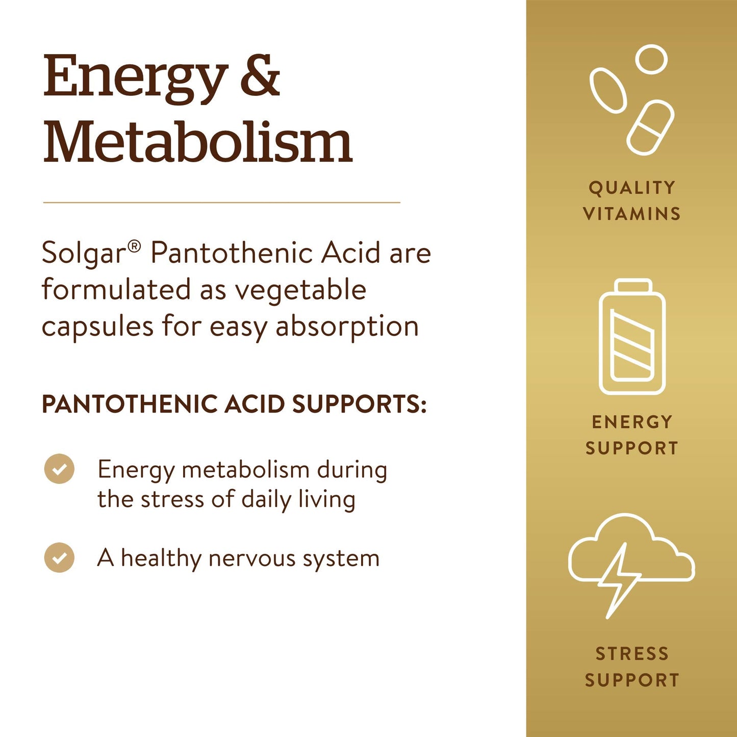 Close up of Solgar 550mg Pantothenic Acid bottle seal