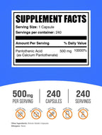 BulkSupplements Vitamin B5 240 count nutritional supplement bottle