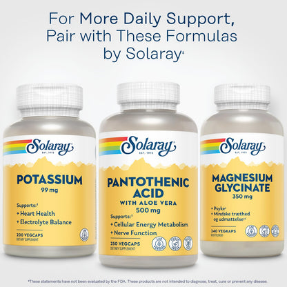 Solaray Vitamin B5 500mg bottle packaging layout