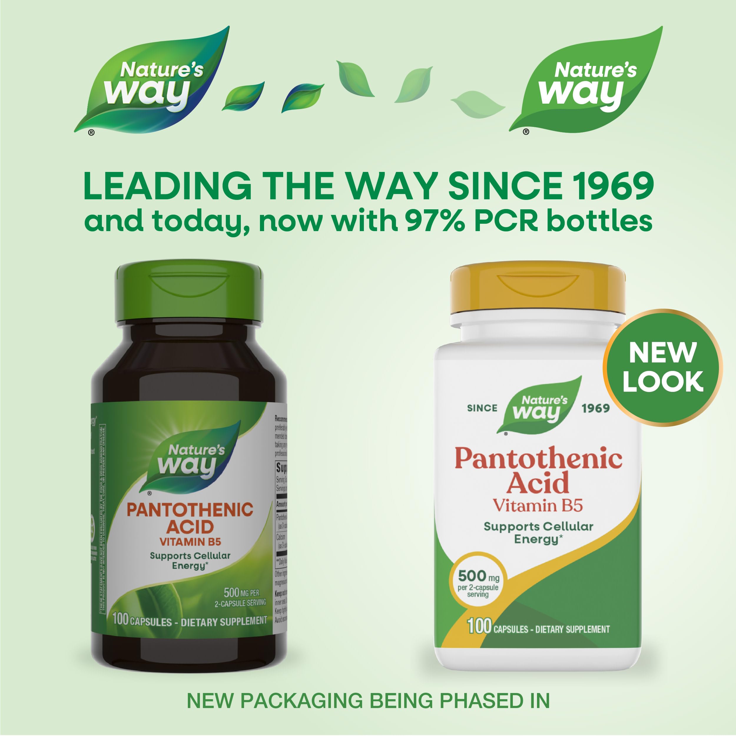 Nature's Way Vitamin B5 supplement label details