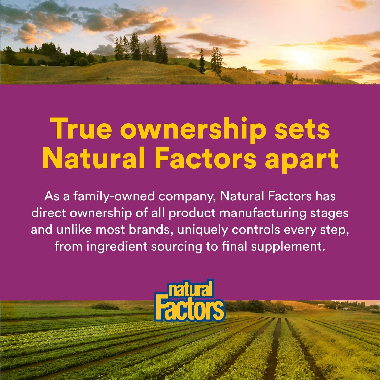 Natural Factors B5 450 mg dietary supplement bottle studio shot