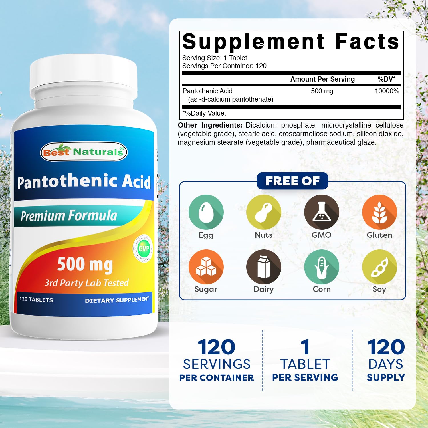 Best Naturals Pantothenic Acid 500mg bottle label detail