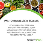 NaturesPlus Sustained Release Pantothenic Acid 60 tablets bottle