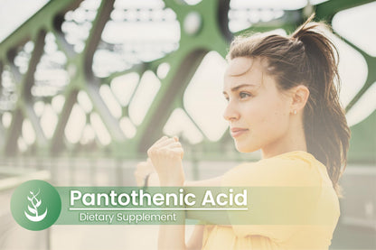 Top view of Pure Original Ingredients Pantothenic Acid bottle cap