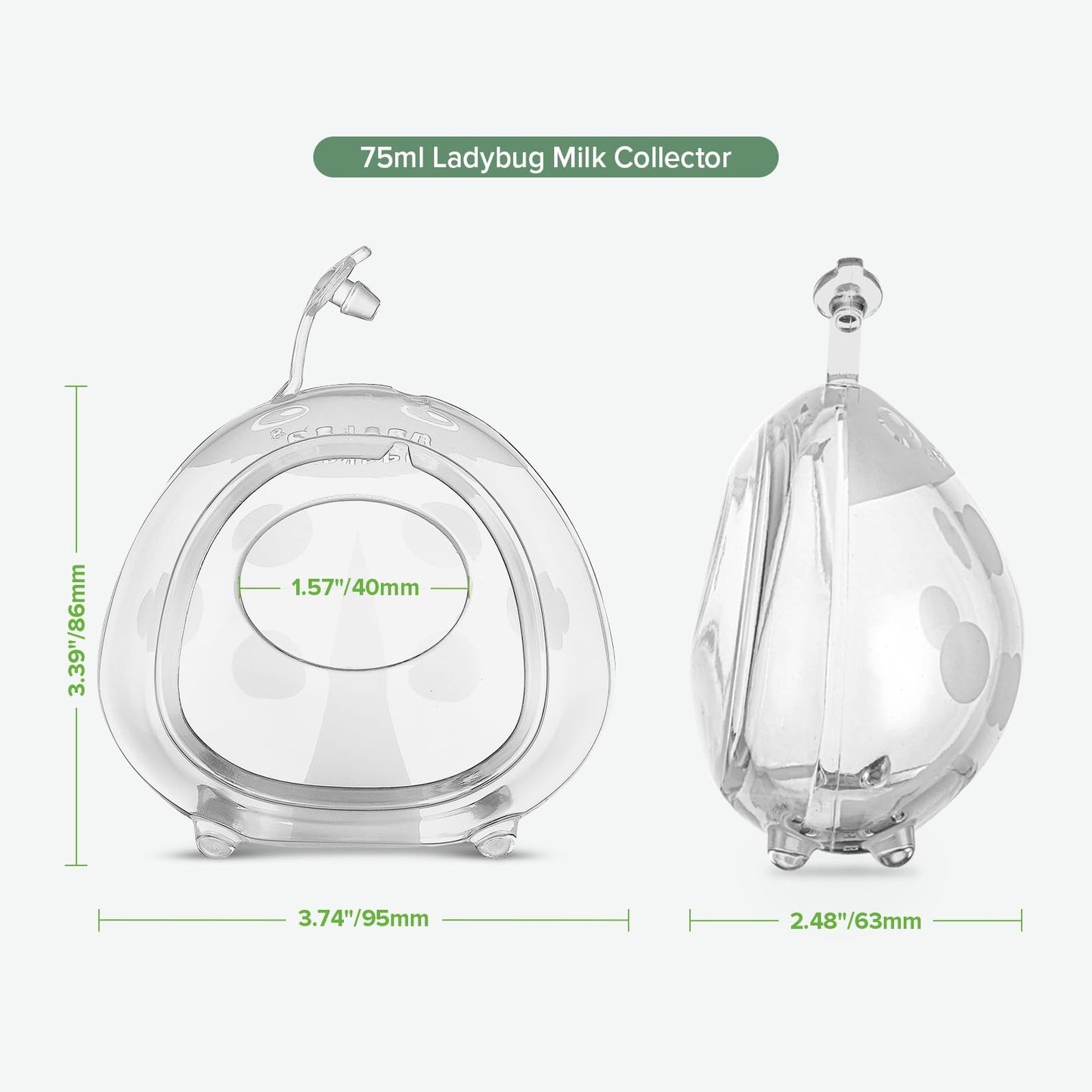 Haakaa Ladybug breast milk collector inside a bra