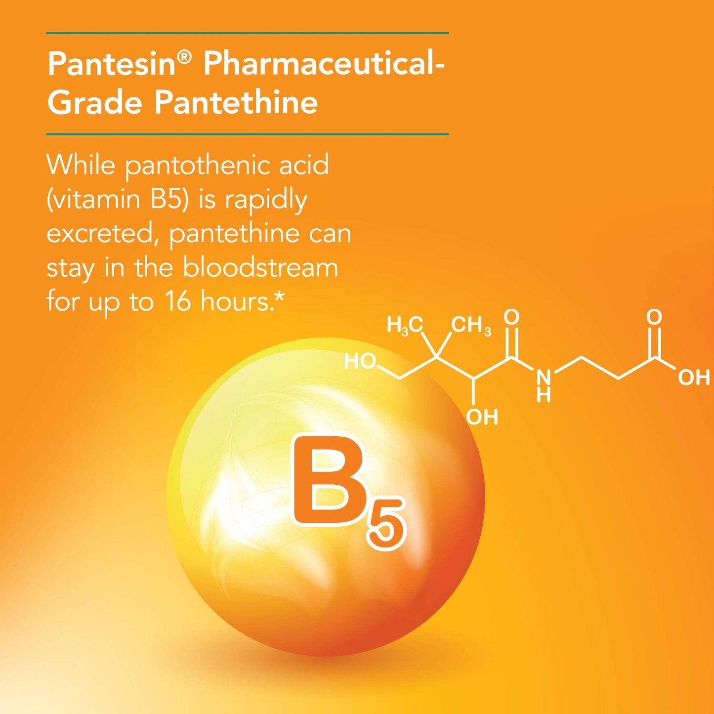 Nutricology Vitamin B5 vegetarian capsules bottle packaging