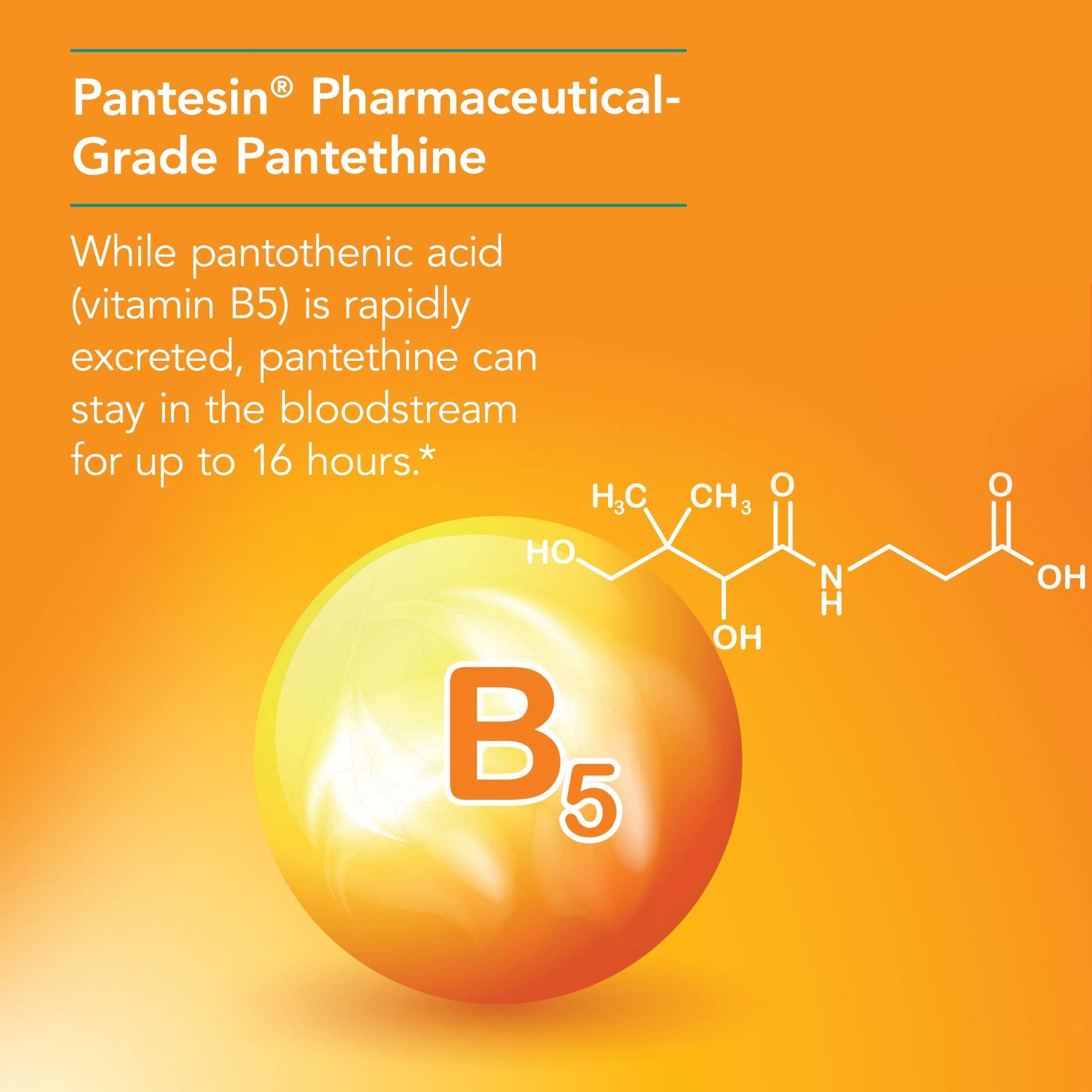 Nutricology Vitamin B5 vegetarian capsules bottle packaging