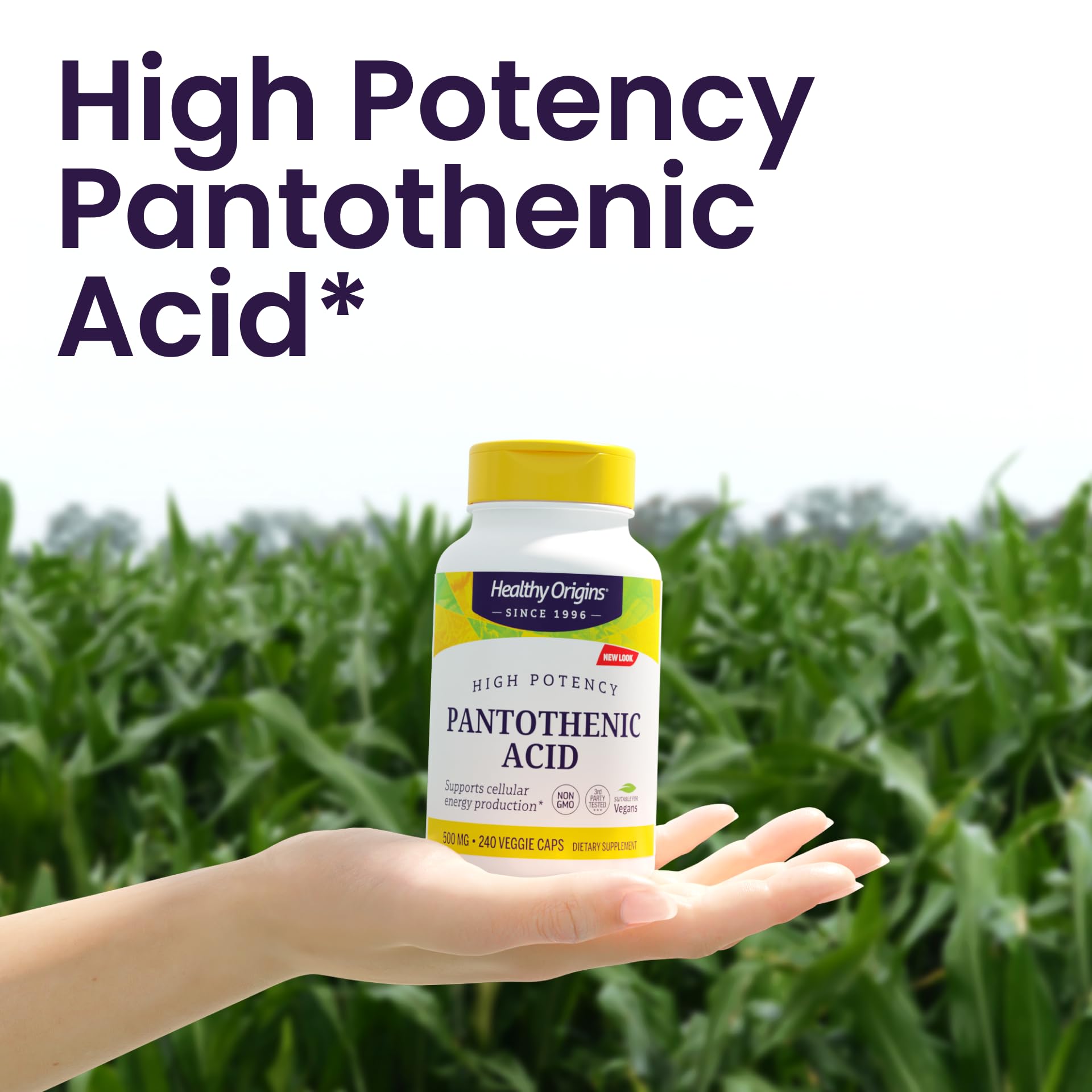 Side profile of Healthy Origins 240 capsule supplement bottle
