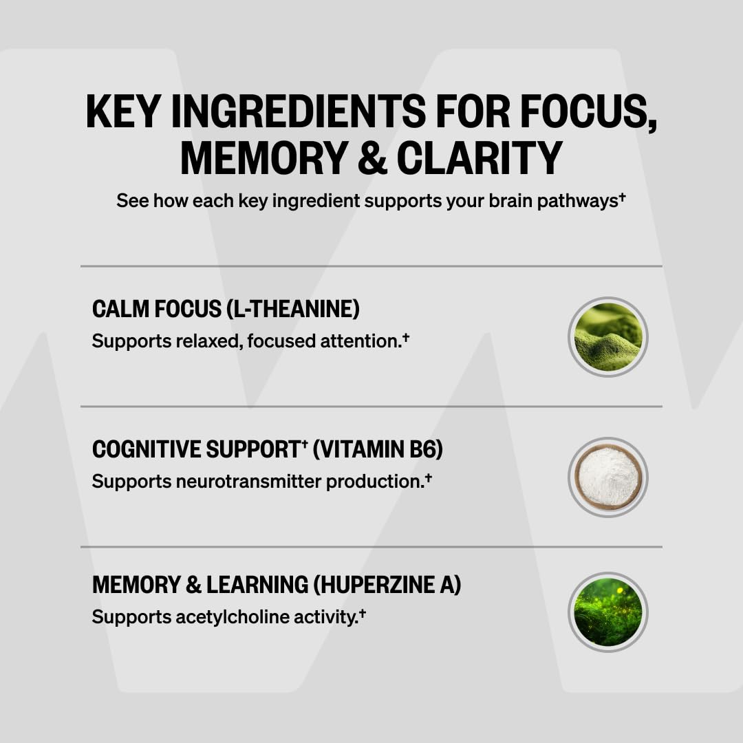 Onnit Alpha Brain bottle isolated on white background