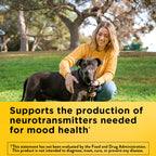 Nature Made Vitamin B6 100mg dietary supplement label