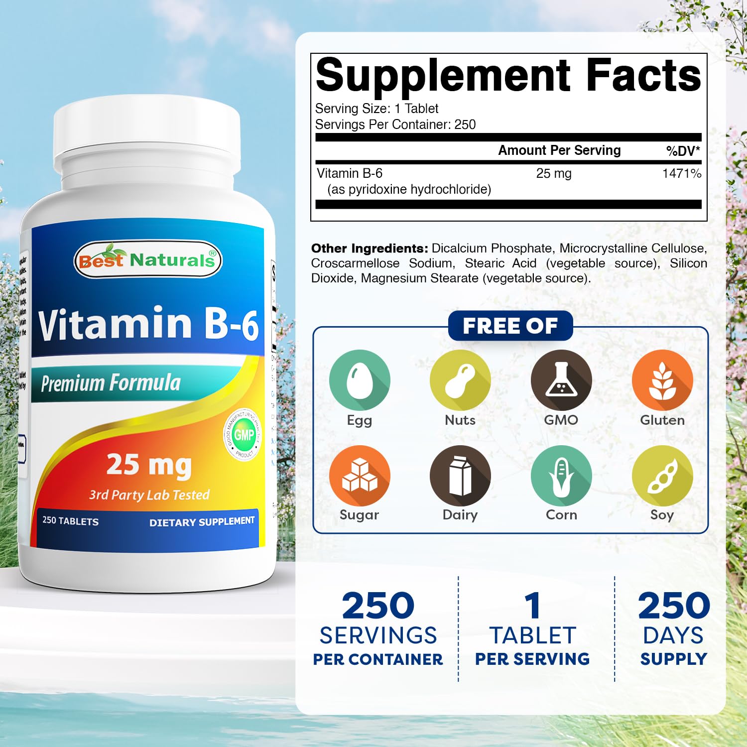 Best Naturals Vitamin B6 supplement bottle label ingredients