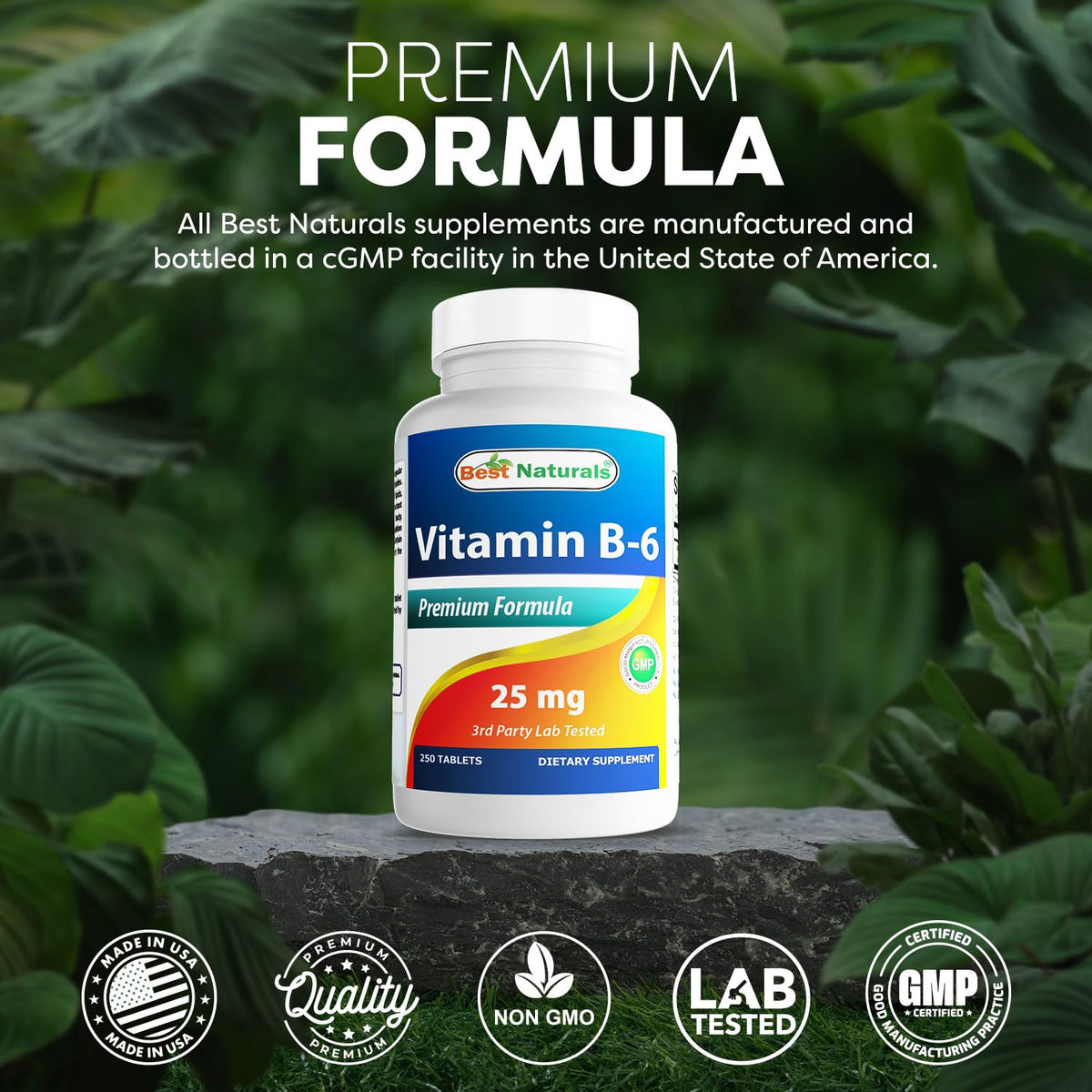 Best Naturals cardiovascular support vitamin B6 bottle side view