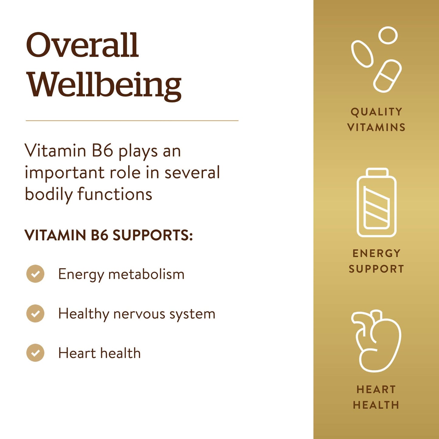 Authentic Solgar dietary supplement bottle highlighting key health benefits on packaging.