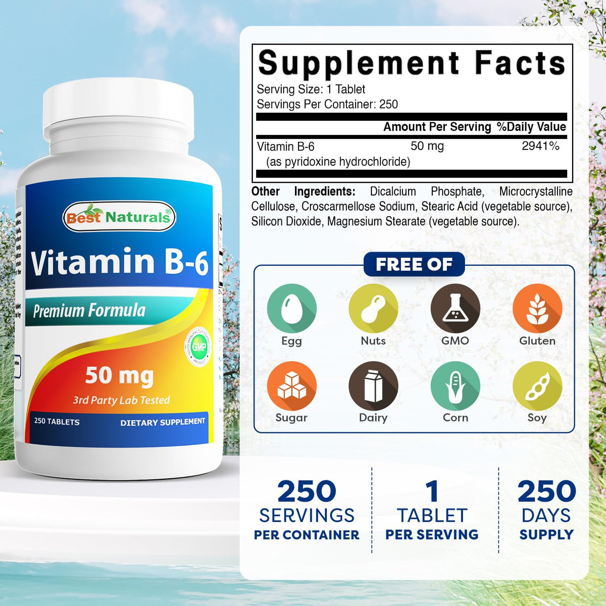 Best Naturals Vitamin B6 supplement bottle label details