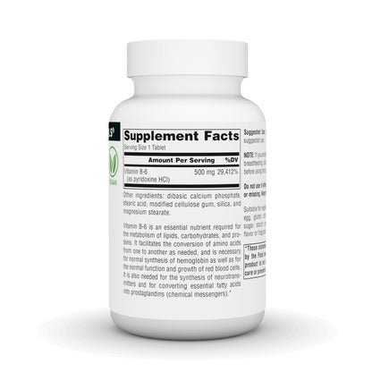 Back label view of high potency pyridoxine supplement highlighting metabolism and immune health advantages.