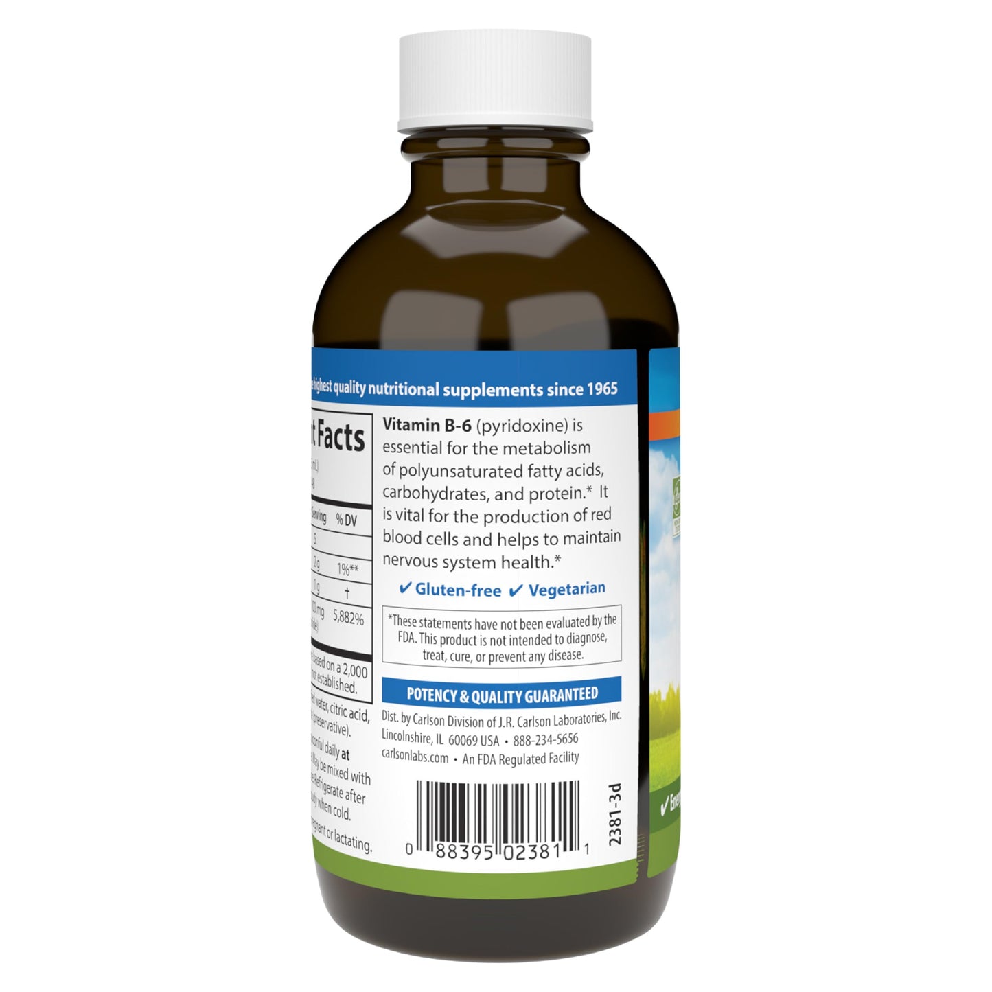 Carlson B-6 Liquid supplement box and bottle set