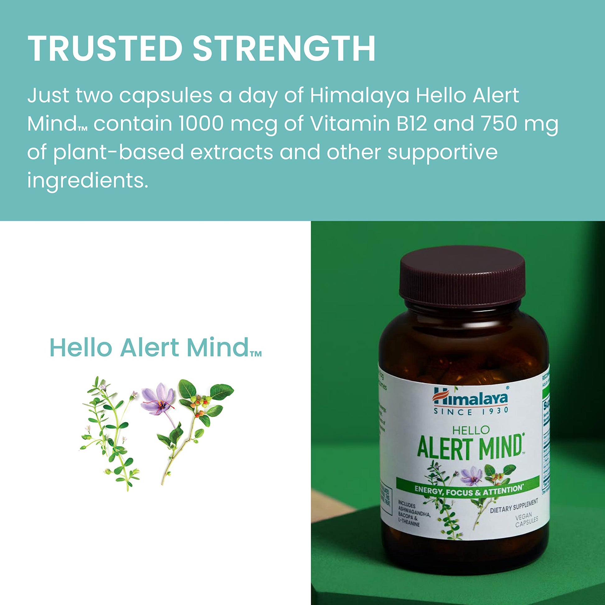 Vegan and non-GMO certification logos on Himalaya bottle
