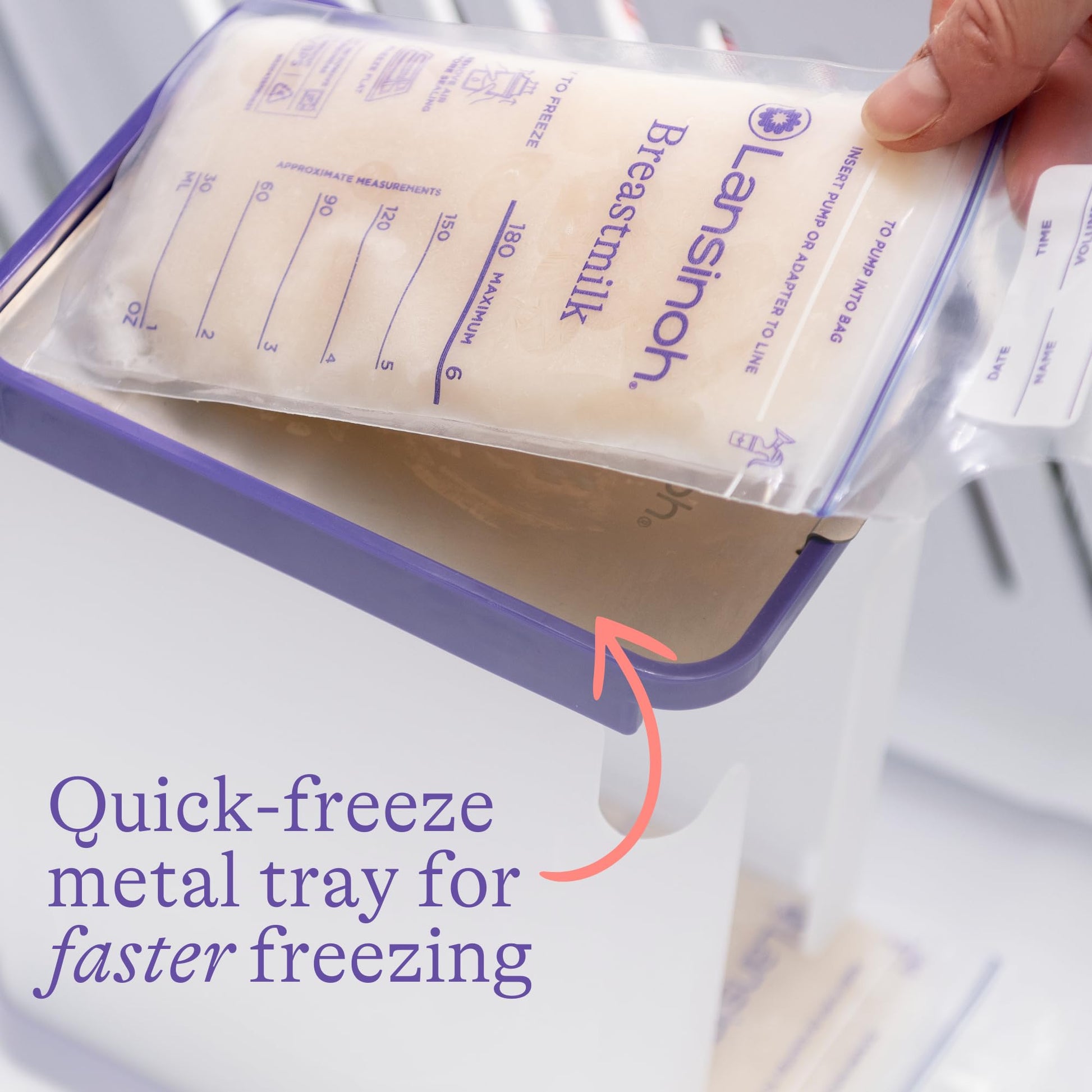 Lansinoh storage container with 10 breast milk bags inside
