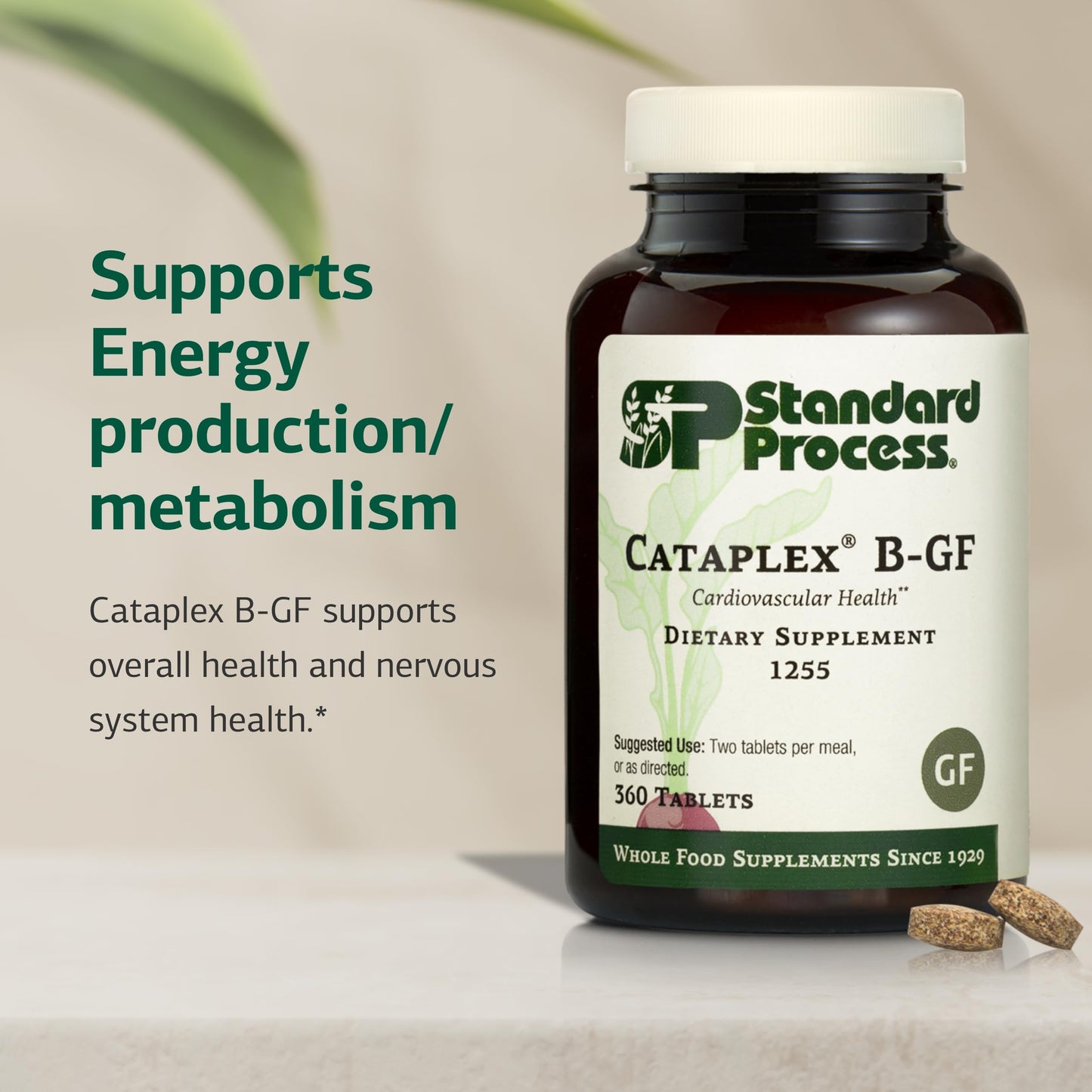 Close up of Standard Process Cataplex B GF supplement tablet bottle