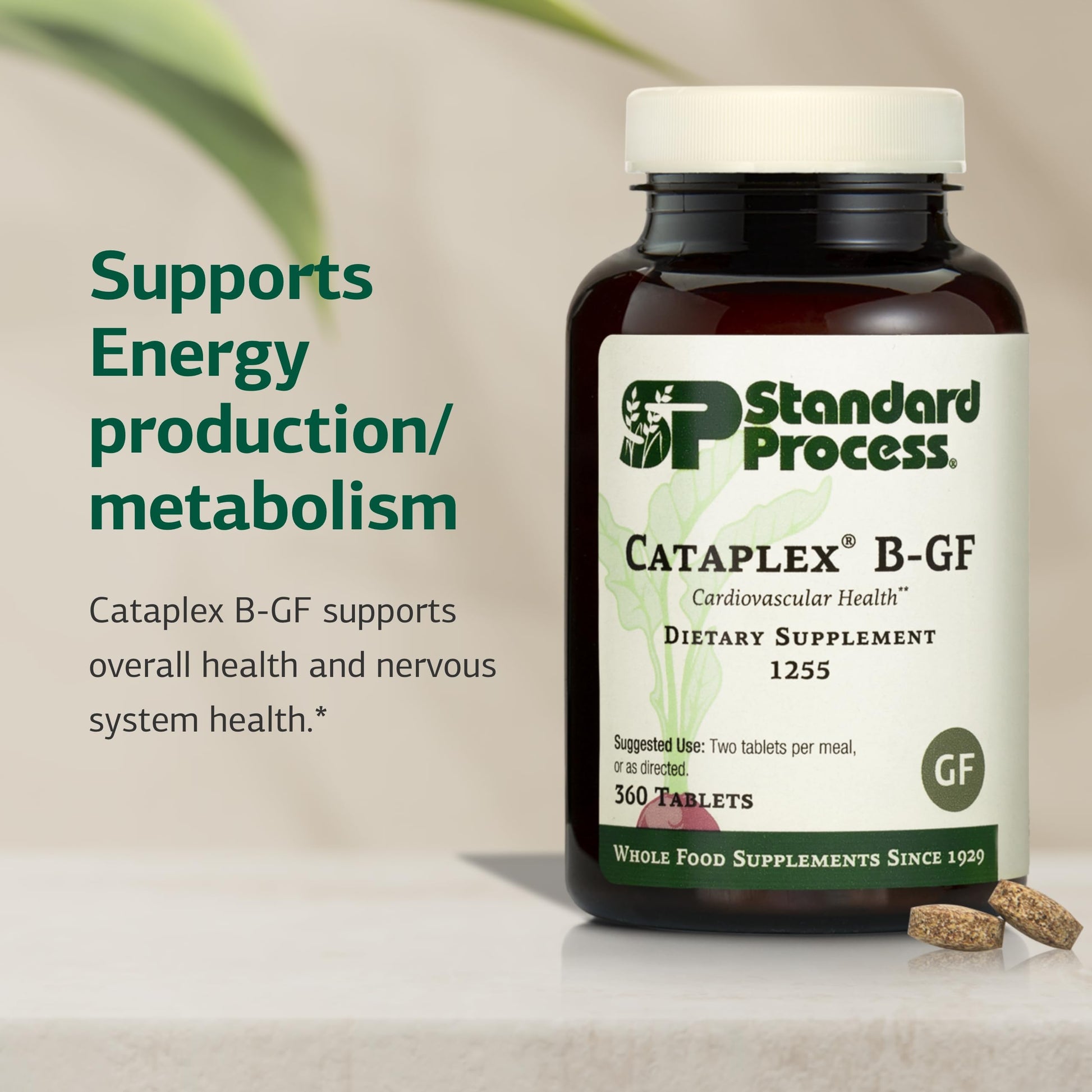 Close up of Standard Process Cataplex B GF supplement tablet bottle
