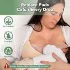 Haakaa breast milk saver shells worn inside nursing bra