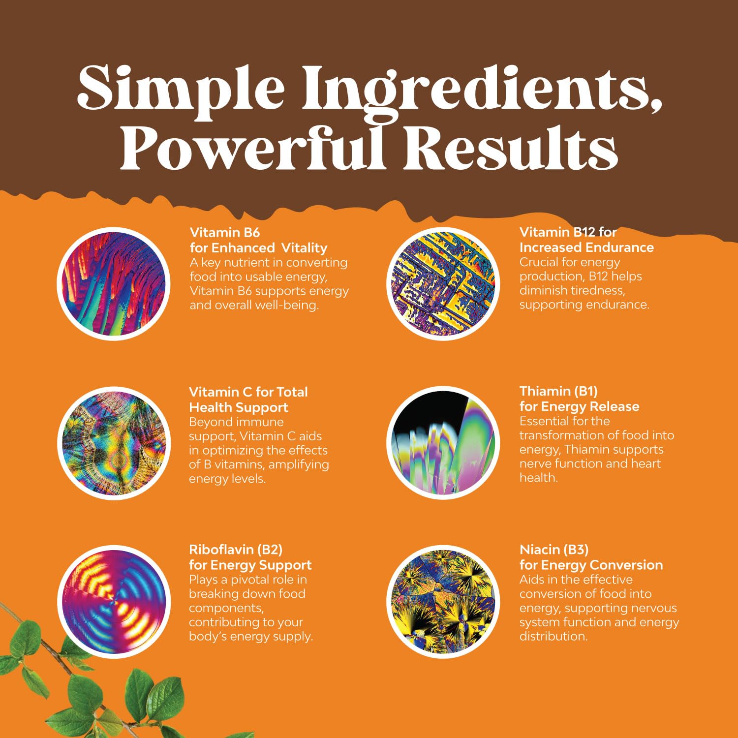 Natures Craft dietary supplement daily dosage illustration
