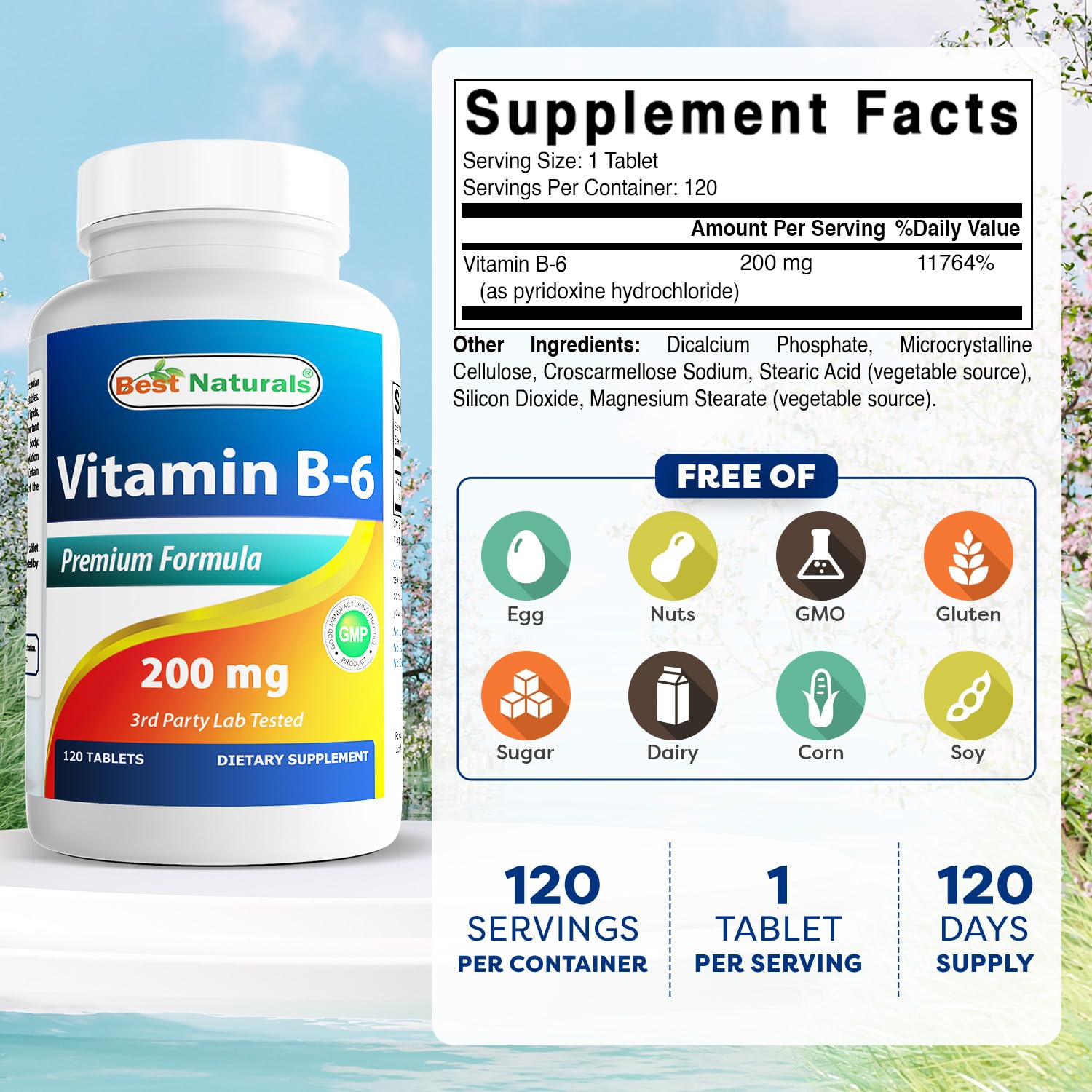 Best Naturals Vitamin B6 supplement bottle label details