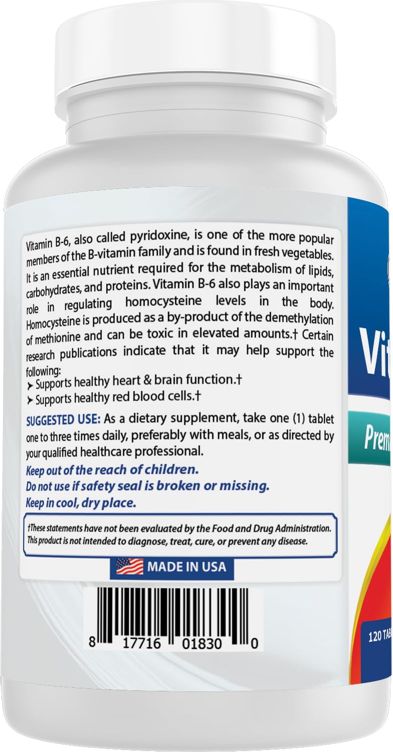Best Naturals Vitamin B6 dietary supplement 120 count bottle
