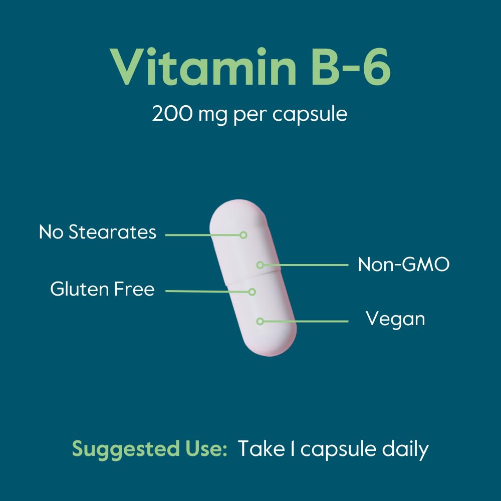 Close up of Bestvite Vitamin B6 supplement facts panel