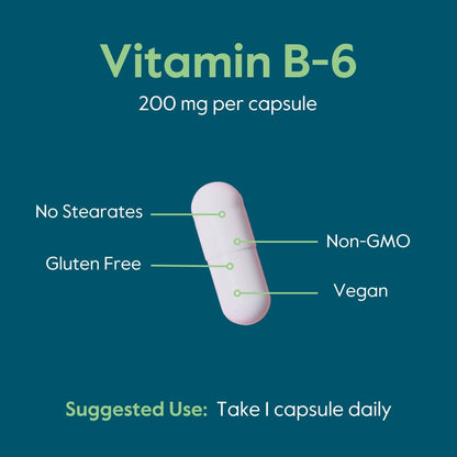 Close up of Bestvite Vitamin B6 supplement facts panel