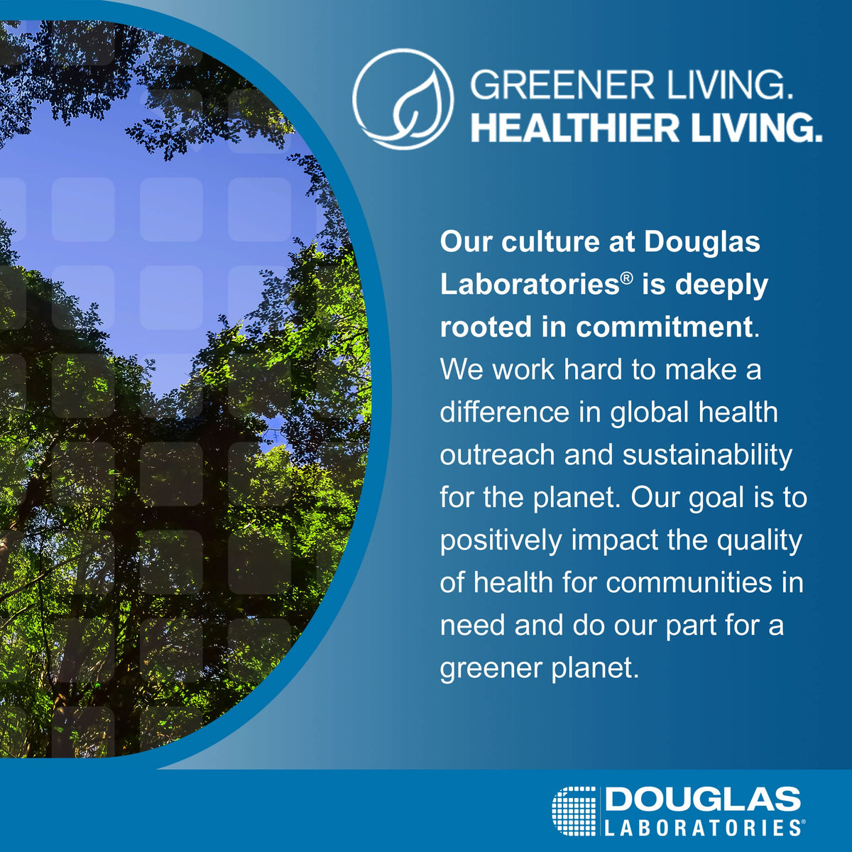 Douglas Laboratories neurological health supplement bottle top angle view.