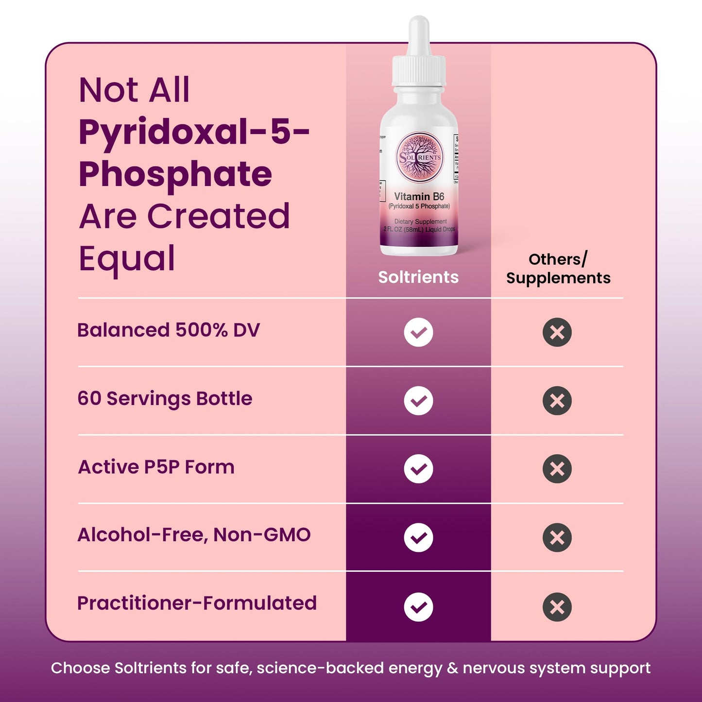 Side view of Soltrients Vitamin B6 liquid packaging
