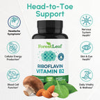 ForestLeaf high potency riboflavin 400mg supplement supplement facts label detail
