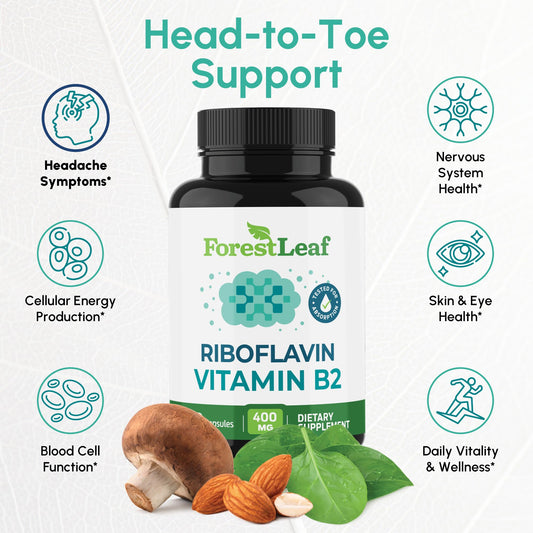 ForestLeaf high potency riboflavin 400mg supplement supplement facts label detail