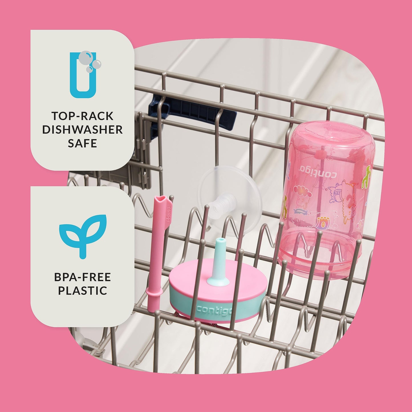 Contigo 14 ounce children water bottle set detached into separate pieces for cleaning