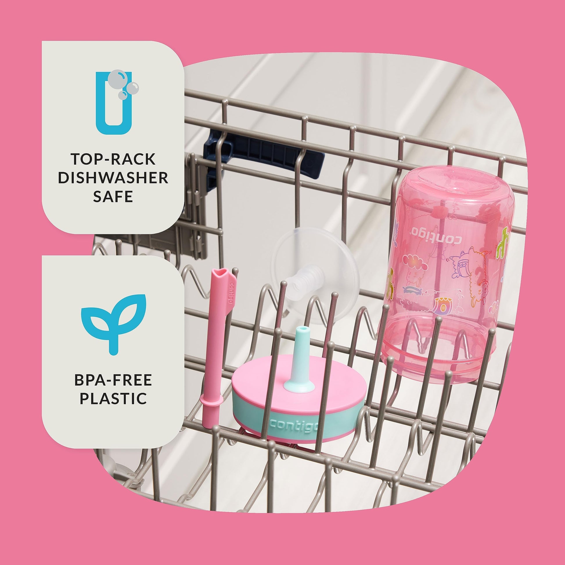 Contigo 14 ounce children water bottle set detached into separate pieces for cleaning