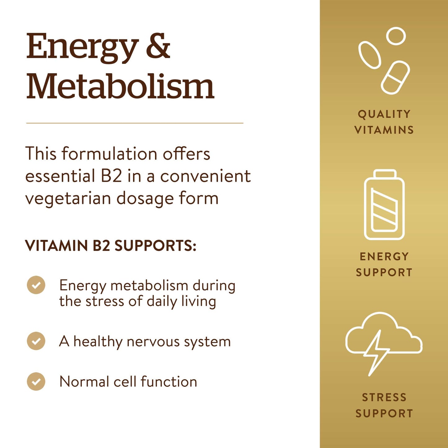 Solgar Vitamin B2 dietary supplement bottle showing non GMO and gluten free seals