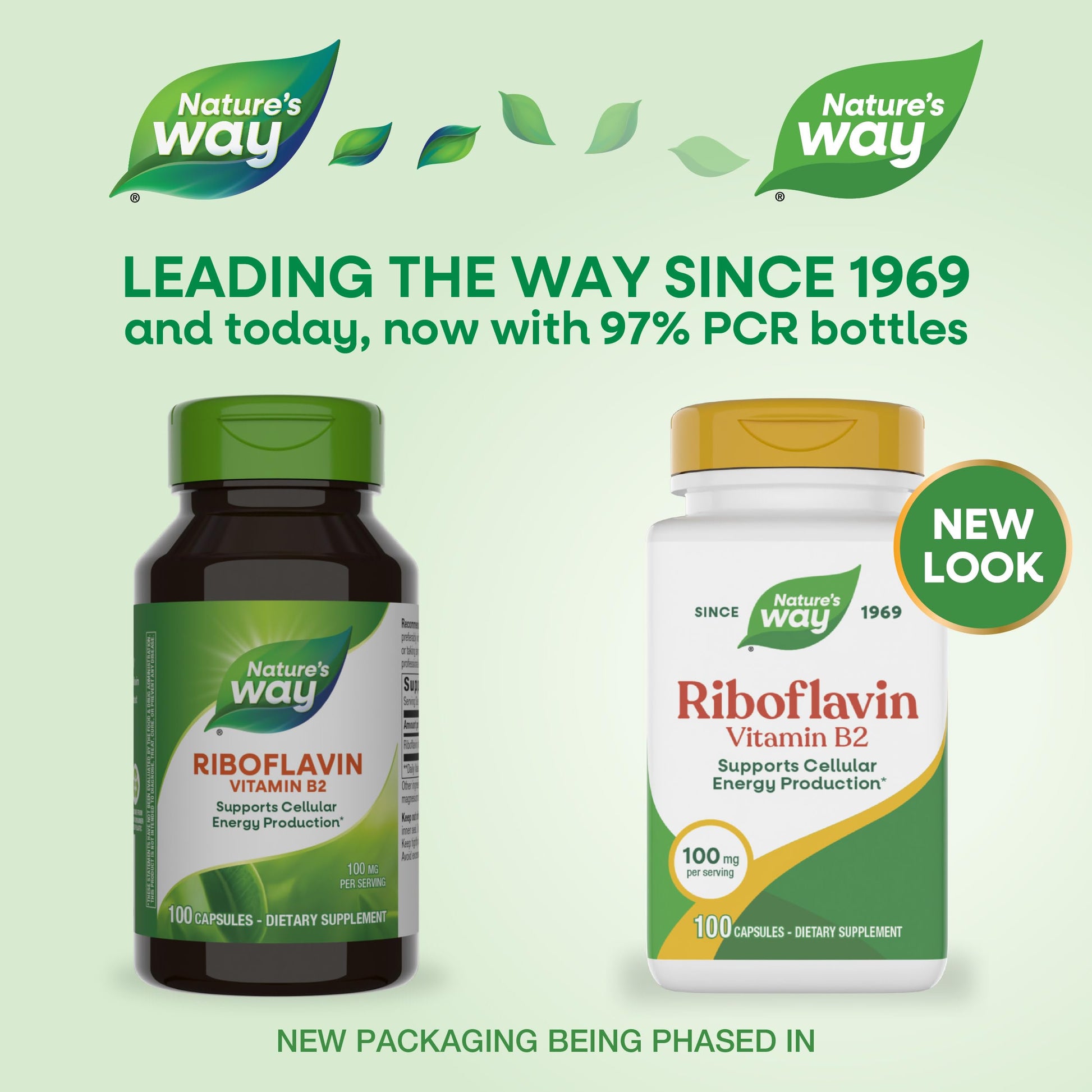 Nature's Way Vitamin B2 100 mg 100 capsules dietary supplement facts panel