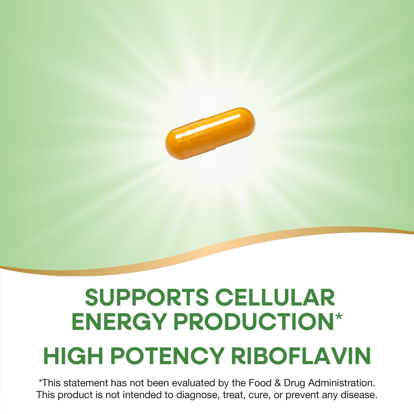 Imported high potency riboflavin capsules for premium wellness and vitality