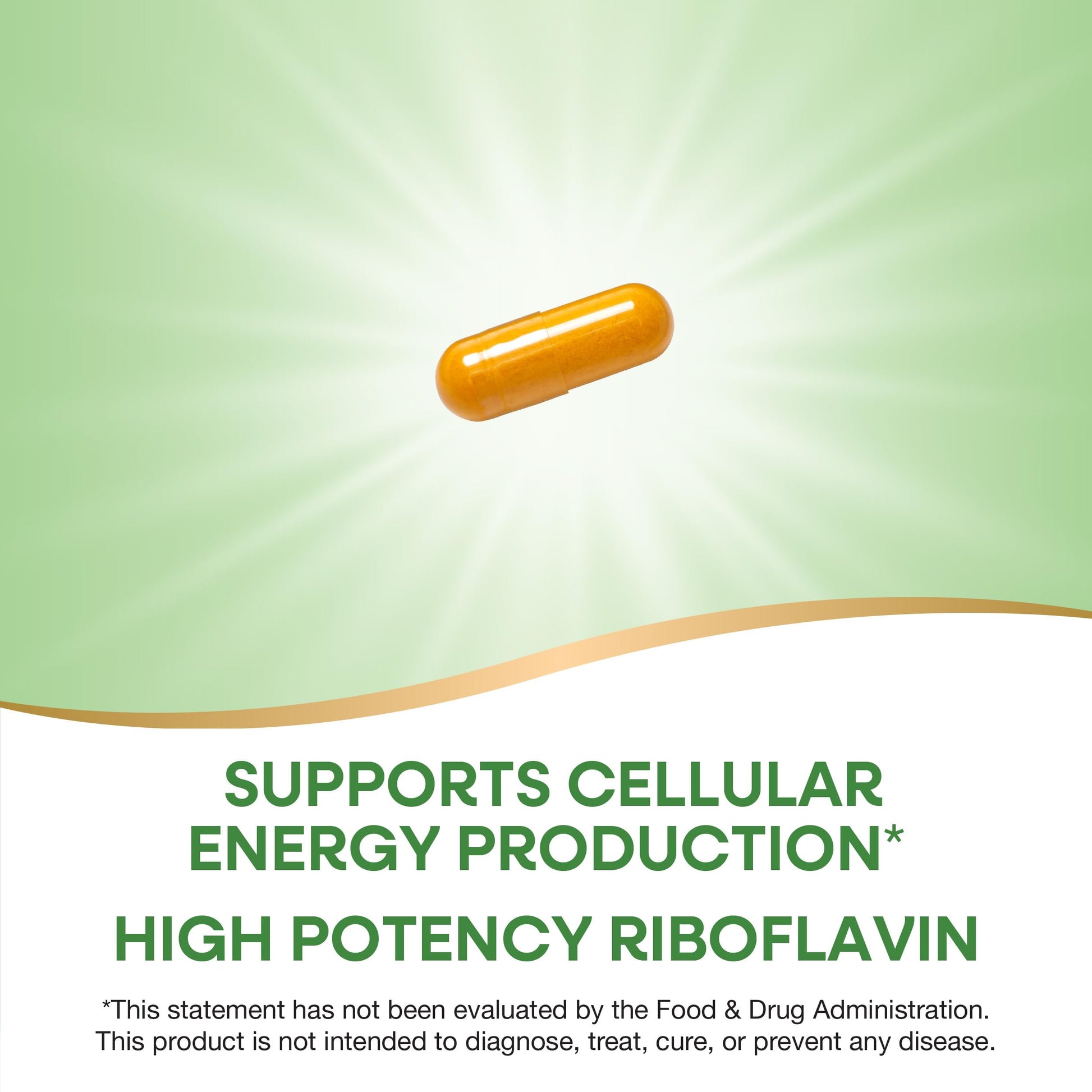 Imported high potency riboflavin capsules for premium wellness and vitality