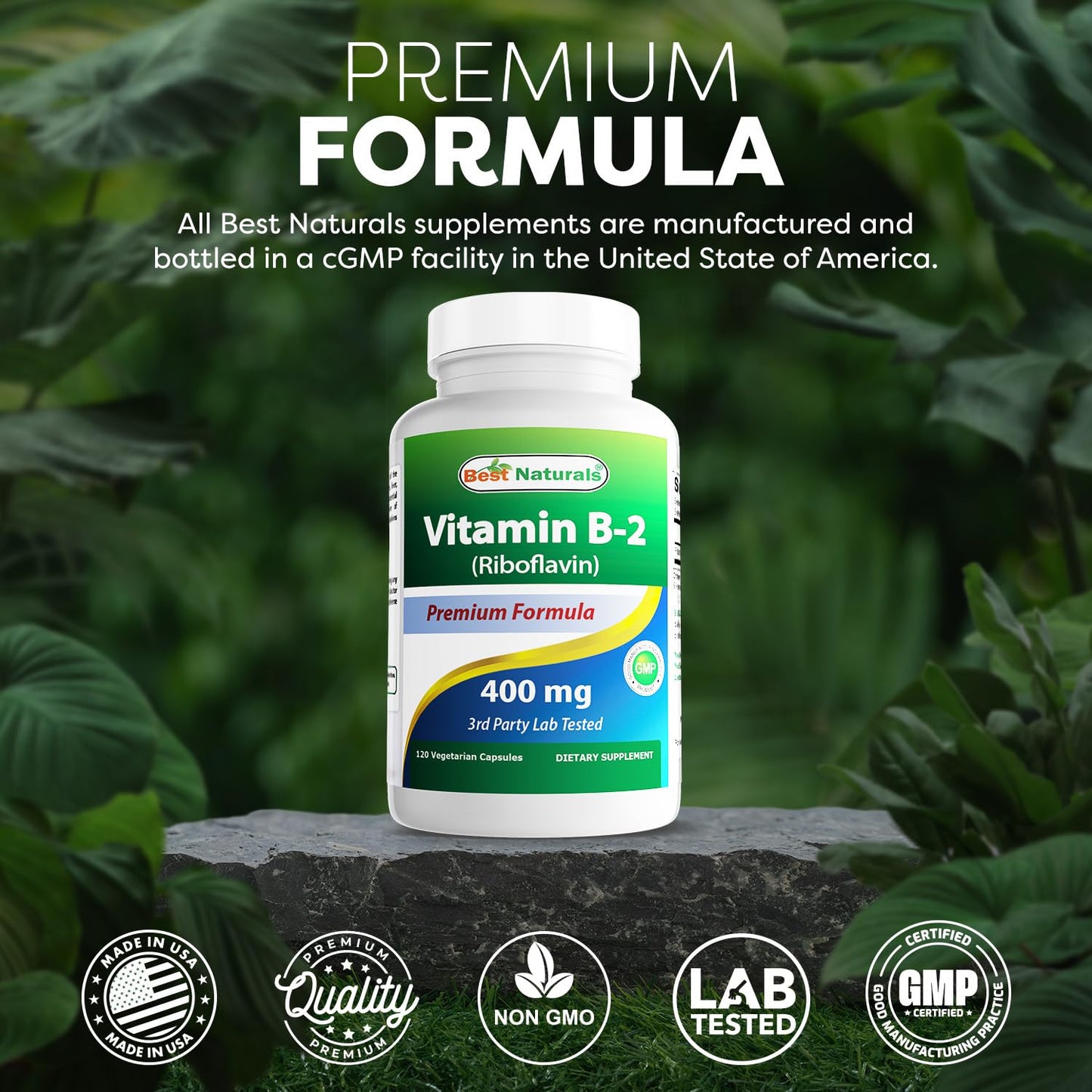 Non GMO gluten free riboflavin capsules dietary details