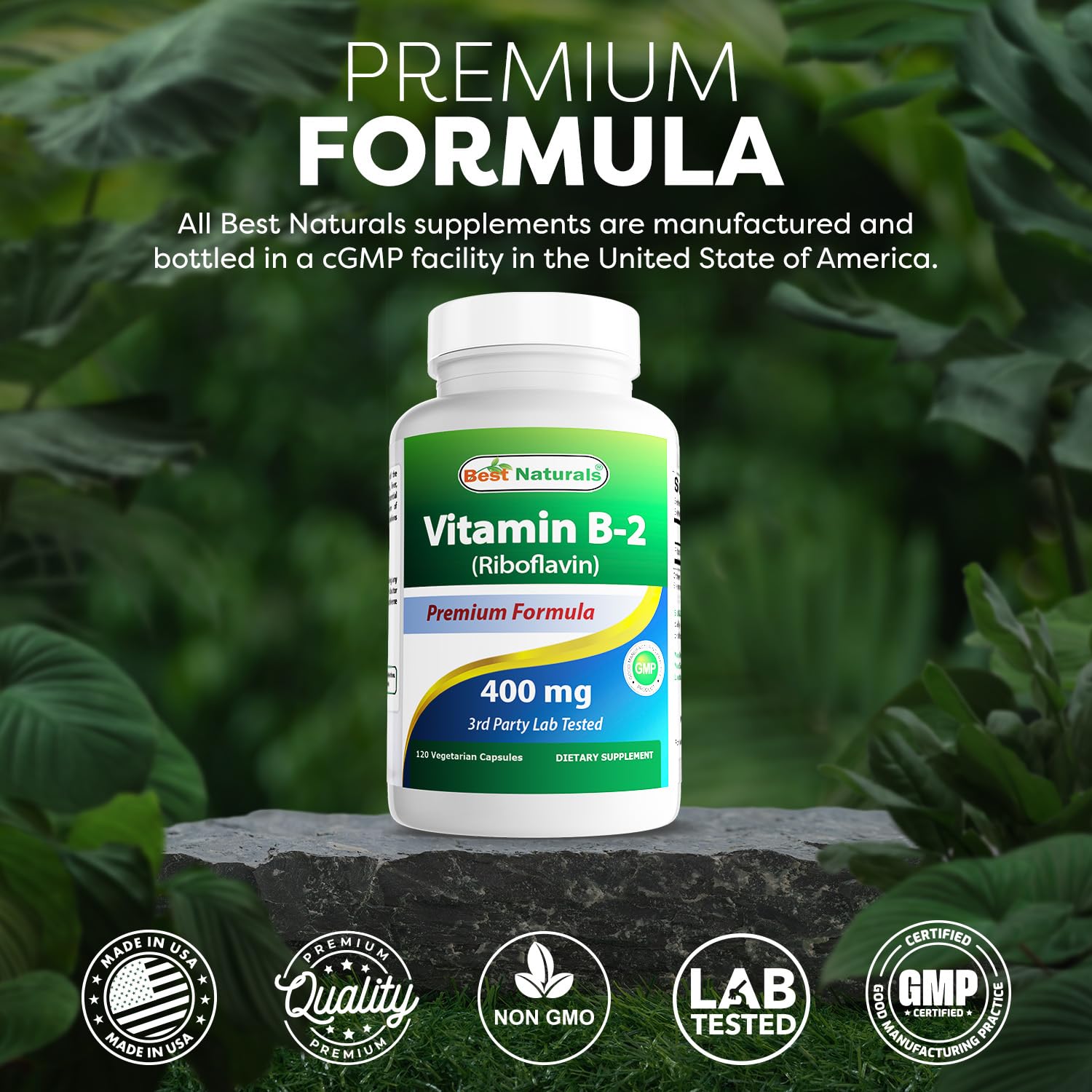 Non GMO gluten free riboflavin capsules dietary details