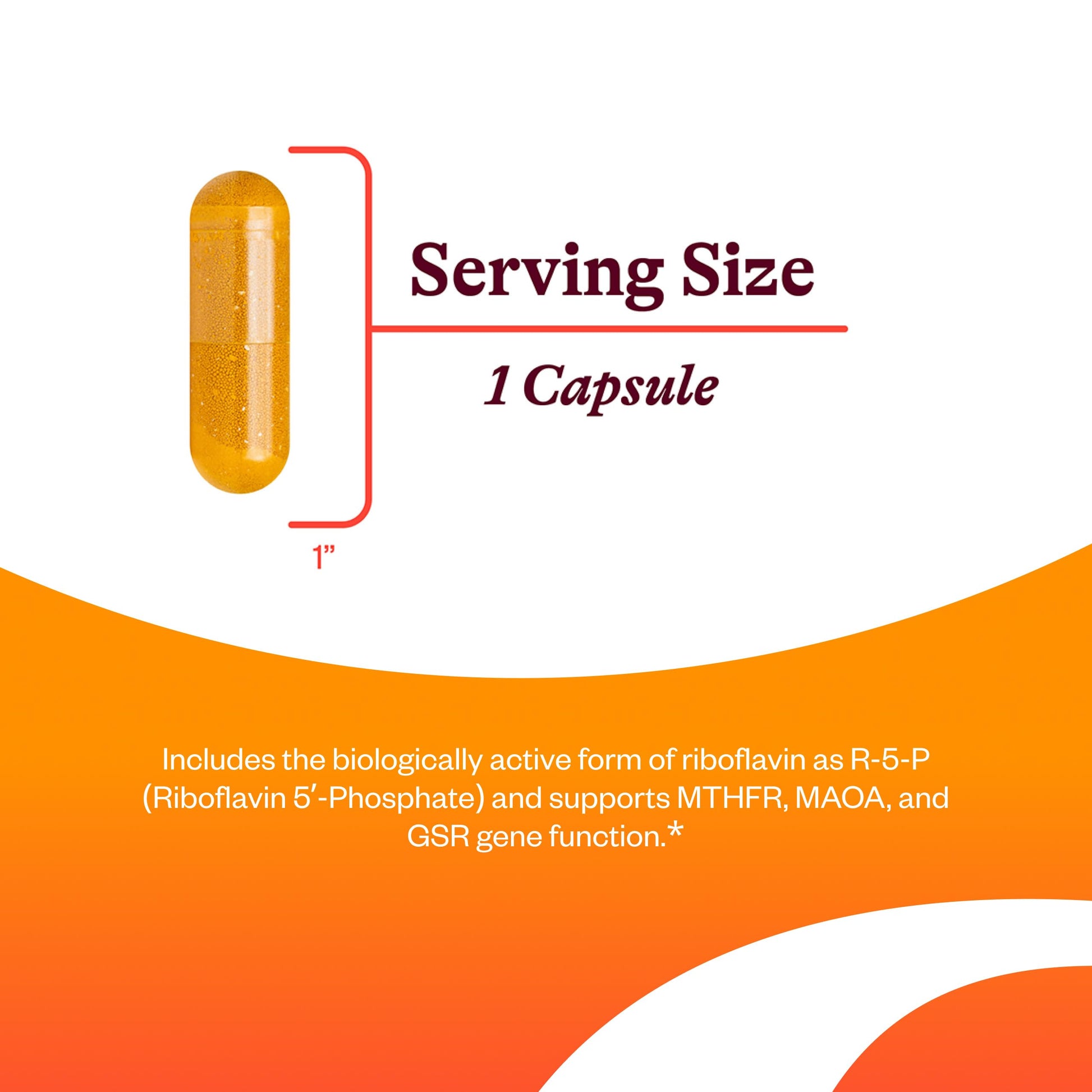 Seeking Health Vitamin B2 400 mg vegetarian capsules allergen free dietary supplement label details