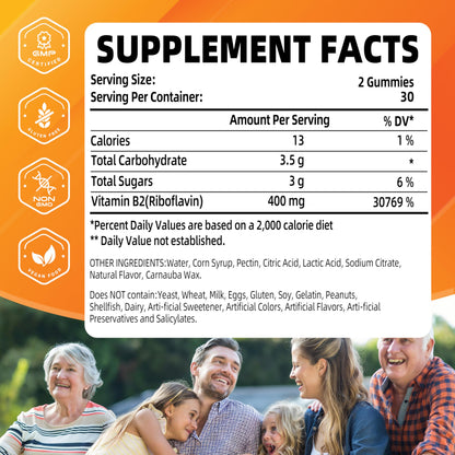 Vegan and non GMO Vitamin B2 health supplement by Joywiit for nervous system support