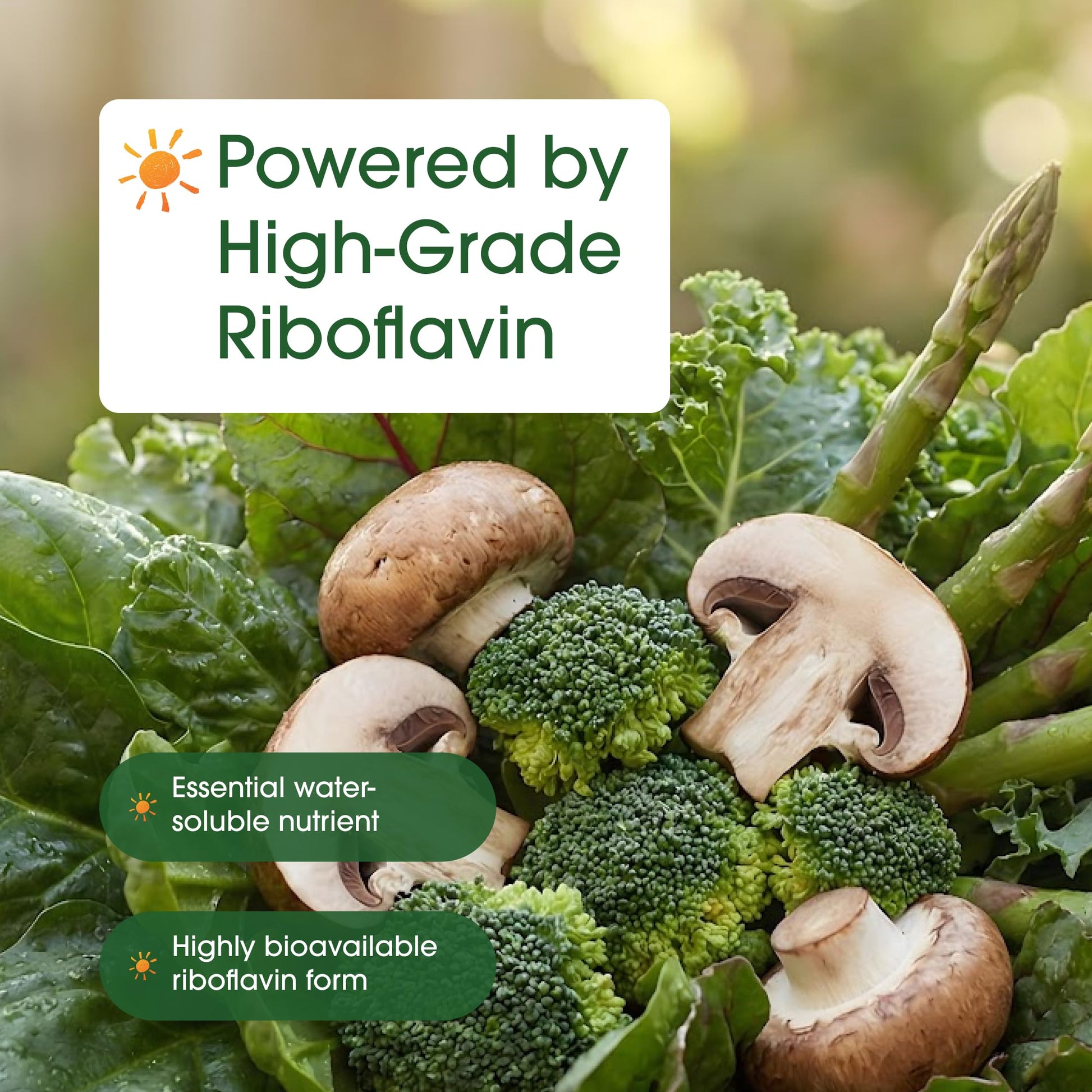 Riboflavin 400mg neurological health supplement container macro shot